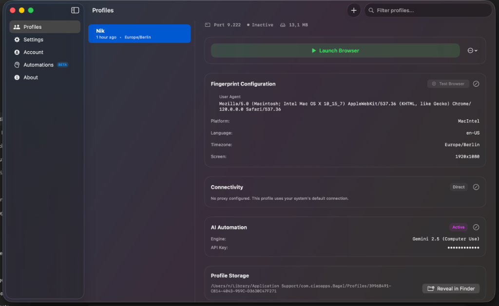 Bagel Browser Profile Management